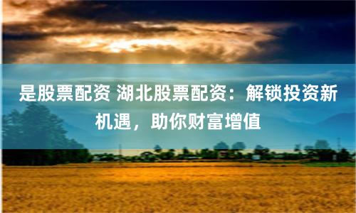 是股票配資 湖北股票配資：解鎖投資新機(jī)遇，助你財(cái)富增值